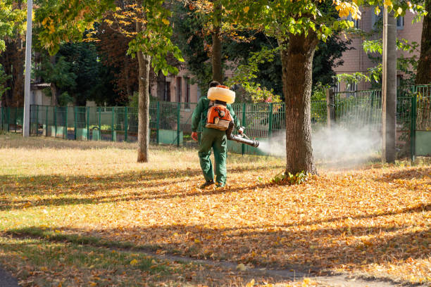 Best Affordable Pest Control Services  in Saint John Fisher College, NY