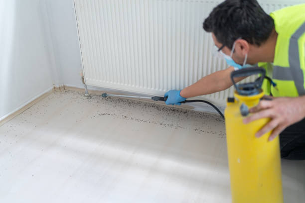 Best Pest Removal Services  in Saint John Fisher College, NY